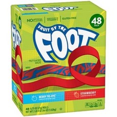 르끌레르휴대용유모차