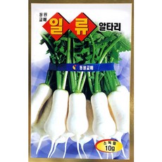 일류 알타리씨앗 10g 무료배송/주말농장씨앗/야채채소, 1개