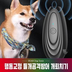 개퇴치기