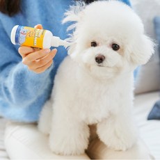 페스룸이어클리너