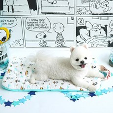 강아지아이스팩파우치