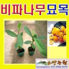 cceca7f98a1c412953c6dac0d65dec50c729d5e087e16d2112e7f864fc20.png