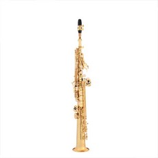 SR 소프라노색소폰(SS100T) - 가성비 최고의 취미용 입문용 색소폰 SR Soprano Saxophon 바른소리뮤직