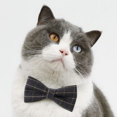 네오바트 격자 체크 강아지 고양이 반려동물 보타이 넥타이, 그레이체크, 1개, 나비넥타이