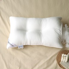 아토앤알로경추배게