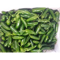 짱아찌용고추