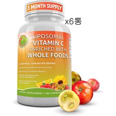 서플먼트스튜디오 리포조말 비타민C 1500mg 180캡슐 x 6통 포스파티딜콜린, 6개, 180정