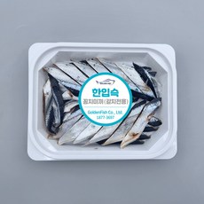 갈치미끼꽁치