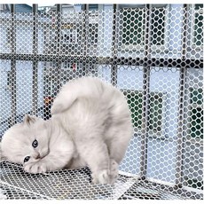 고양이 안전망 애완동물 낙하 방지 보호망 안전 메시 가드 발코니 및 창문 가금류 그물 플라스틱 정원 울타리 안전망 1 2cm 크기 0 4x10m 3x33ft, Mesh 1.2cm_1x15m/3.2x49ft, 1개