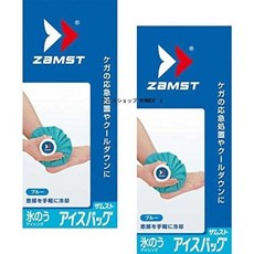 ZAMST (잠스트) 아이스 백 S 사이즈 2 개 세트 그린 378101-2SET, 2개