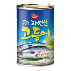 해명원고등어