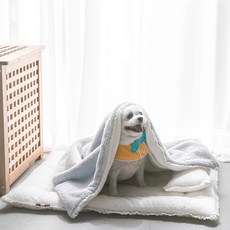 따뜻한 강아지 애견 겨울 밍크 담요 이불 방석, 담요+베개, 핑크, 1개