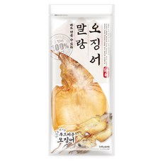 은하수산말랑오징어