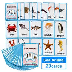 유아 영어 카드 파닉스 아기 학습 영어 단어 음식 형용사 어린이 영어 알파벳 낱말카드, 바다 동물