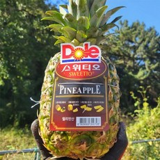 Dole 스위티오 파인애플 3수 3.6 4.2kg 내외