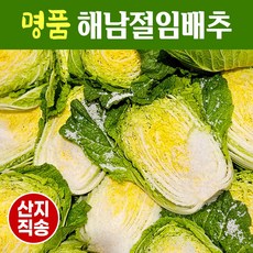 [도착일 지정 상품] 명품 해남 절임배추 20kg 절인배추 (필수추가사항에 희망도착일을 입력해 주세요), 1개