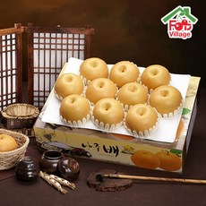 [푸드빌리지] 과일천하 나주배 5kg/7.5kg 가정용 선물용 선물세트, 1박스, 7.5kg 가정용 10과내