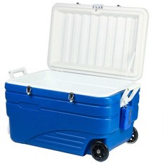 낚시 가방 아이스박스 바퀴 피크닉 얼음 운동회 냉장, 45L