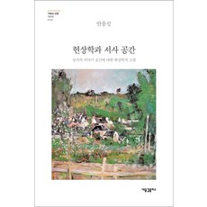 현상학과 서사 공간:성서의 이야기 공간에 대한 현상학적 고찰, 새물결플러스