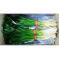호부추 중국부추 1단(400g내외) 5개 이강산닷컴, 400g