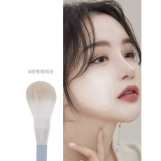 에크멀 이지 브러쉬 에이에이 피니쉬 페이스 17, 단품, 단품