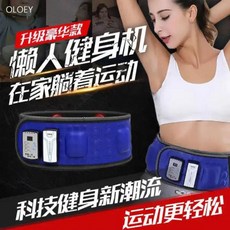 지방흡입 진동운동기 편리한 벨트맛사지기 지방연소 진동 가정용 뱃살빼기 허리띠, [충전용] 2400배 연지 일반판, 운동기기