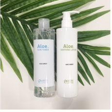 디자이너스킨스타덤