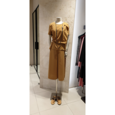 더아이잗컬렉션