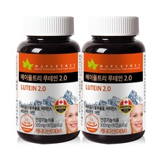 메이플트리보라지유