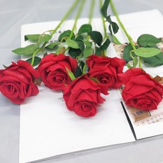 a36a728b3fb8199ad21ab2f576555aad2258b250b0c24f9cd9991a88d2e1.jpg