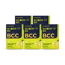 뉴트리원 보스웰리아BCC 1박스 30정 관절연골 비씨씨 강황 가자 비오틴 뼈영양제, 5개