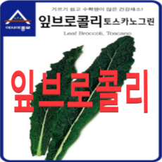 (아시아) 잎브로콜리 토스카노 뉴그린(1000립) 5봉