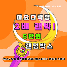 인스 랜덤박스 2배!!! 5만원 랜덤박스 (인스 스티커 떡메 떡메모지 도무송 돔송 여아선물 입학 크리스마스 다꾸 다이어리꾸미기)