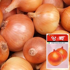 3b07d6409847a7dfba690286932e5261762affe28dd9e0b18633e8b50545.jpg