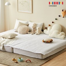 한샘슬립다이버듀폰알러지케어이불솜