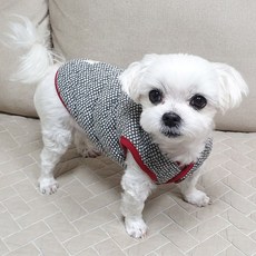 고양이김장조끼