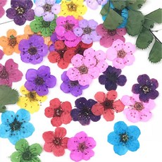 30개 가방 말린 된 꽃 장식 DIY UV 수지 금형 충전 네일 아트 스티커 쥬얼리 만들기 홈 수공예품, 01