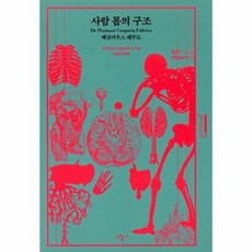 사람몸의구조