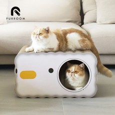 고양이전용케잌