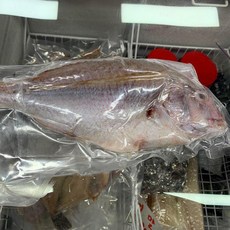 [만재도]삼시세끼&1박2일 바로 그~자연산 해녀채취 자연산 홍합(섭) 배말 산모용 돌미역(대각) 반건조 생선-선택, 반건조 도미1미/ 1kg 내외