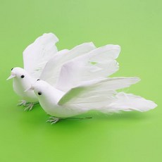 b81e897984efa3956df676eba58974c10a0b3a3e3f625a9bcb477d91e009.jpg