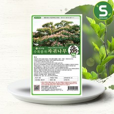 1f6031d7fa83ba5a5008b28244c1e4b814405bd6d288ab85faea28b9aecf.jpg