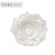 시그니엘프로포즈