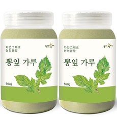 동의한재 국산 뽕잎 가루 분말, 500g, 2개