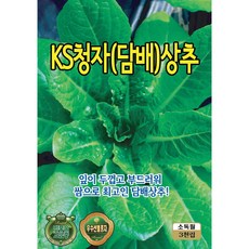 (씨앗) 담배상추 - KS청자 담배상추 - 아삭한 맛이 좋은 쌈채소 씨앗 종자 - 텃밭용 소포장 - 3천립, 1개