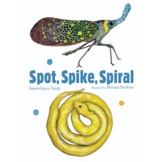 Spot Spike Spiral Board Books, Creative Editions, English, 9781568463339