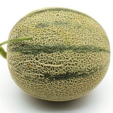 //상품명
