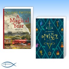 해리포터마법같은1년