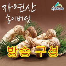 [방송구성] 23년 햇 숲에서 자란 자연산 송이버섯 400g*2박스_일반