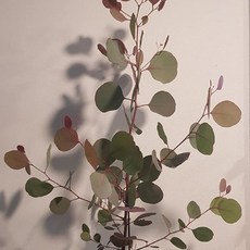 e00fa82d9e62e591153bddeeed16d826ea444af99a45f5f276beca83bba8.jpg